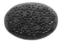 Moghal Oval Ebony Pendant Bead FWM569