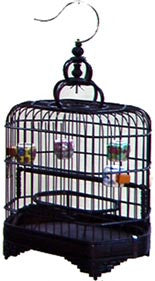 Birdcage 3BC032