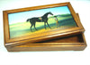 Horse Painted Glass Wooden box